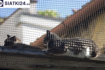 Siatki Gubin - Siatka na balkony dla kota i zabezpieczenie dzieci dla terenów Gubina